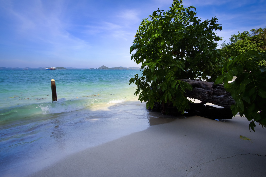 PATTAYA & BANGKOK & PHUKET TURU TÜRK HAVA YOLLARI İLE 8 GECE
